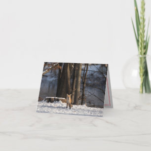 Celebrate Winter Folded Holiday Card