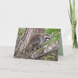 Celebrate Your Birthday Like A Racoon  Card