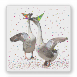 Celebrating Geese
