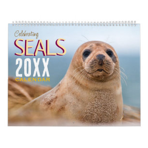 Celebrating Seals Wall Calendar 2026 Wildlife
