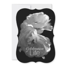 Celebration of Life 3 White Rose Memorial Service