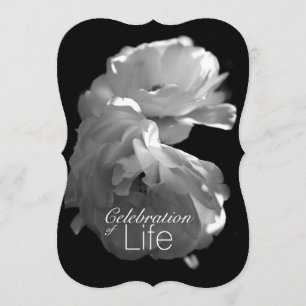 Celebration of Life 3 White Rose Memorial Service Invitation