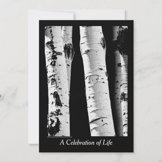 Celebration of Life, Aspen Trees Black and White Invitation (Front)