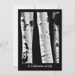 Celebration of Life, Aspen Trees Black and White Invitation