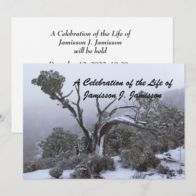 Celebration of Life Memorial Service Winter Tree Invitation (Front/Back)