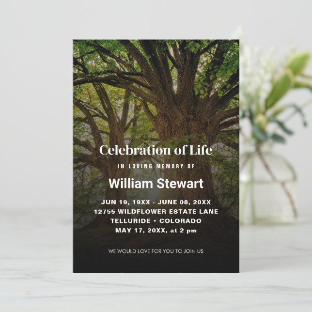 Celebration of Life | Modern Funeral Trees Invitation (Standing Front)