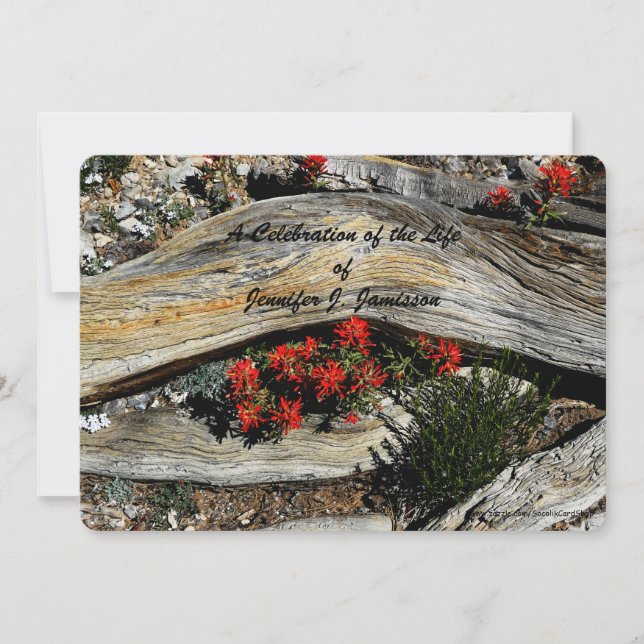 Celebration of Life, Red Flowers Weathered Wood Invitation (Front)
