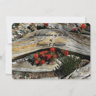 Celebration of Life, Red Flowers Weathered Wood Invitation