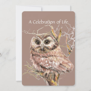 Celebration of Life Service Owl Bird Watercolor Invitation