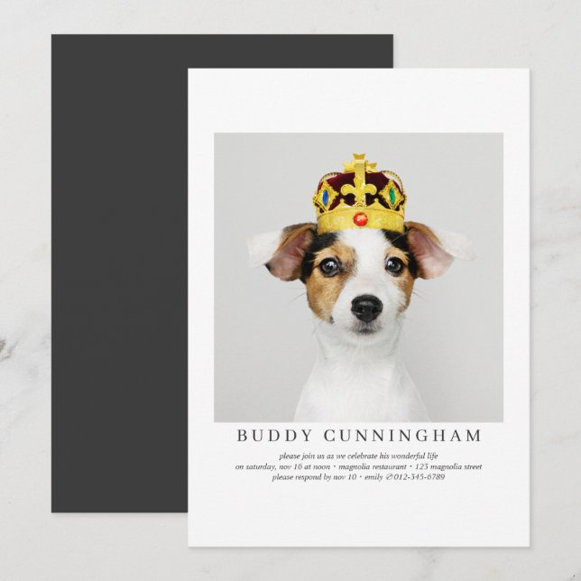 Celebration of Life Simple Elegant Pet Photo Invitation (Front/Back)