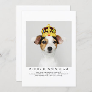 Celebration of Life Simple Elegant Pet Photo Invitation
