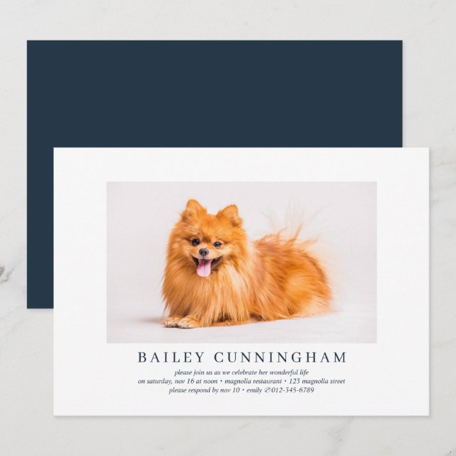Celebration of Life Simple Elegant Pet Photo Invitation (Front/Back)