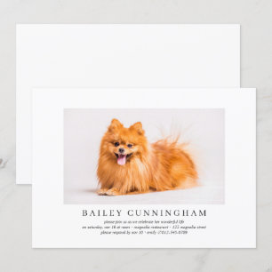 Celebration of Life Simple Elegant Pet Photo Invitation