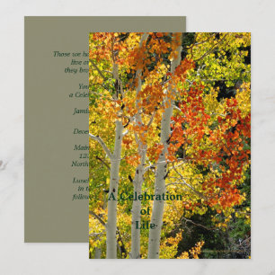 Celebration of Life Three Aspens in Autumn Invitation