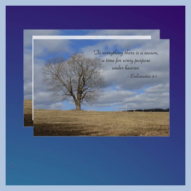 Celebration of Life To Everything There Is Season Invitation (Creator Uploaded)