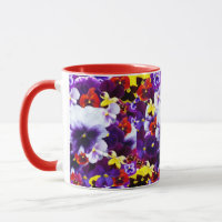 Celebration Of Multi Coloured Pansies,