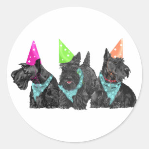 Celebration Scotties in Party Hats Classic Round Sticker