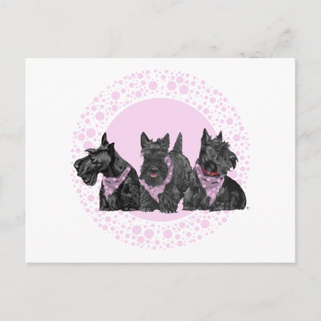 Celebration Scotties in Pink Invitation Postcard (Front)