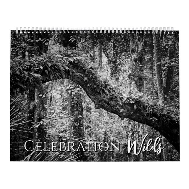 Celebration Wilds Calendar (Cover)