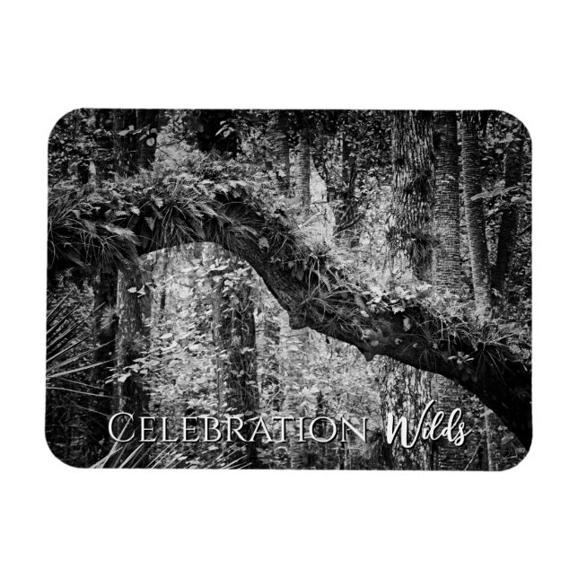 Celebration Wilds Magnet (Horizontal)