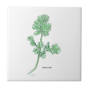 Celery Leaf Art Tile