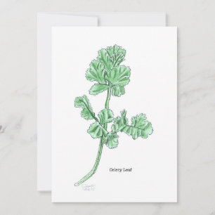 Celery Leaf Invitation