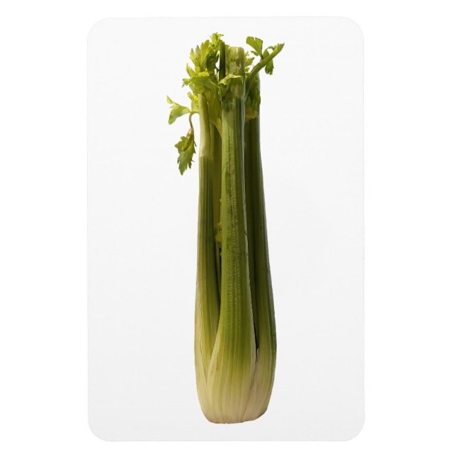 Celery Photo Magnet (Vertical)