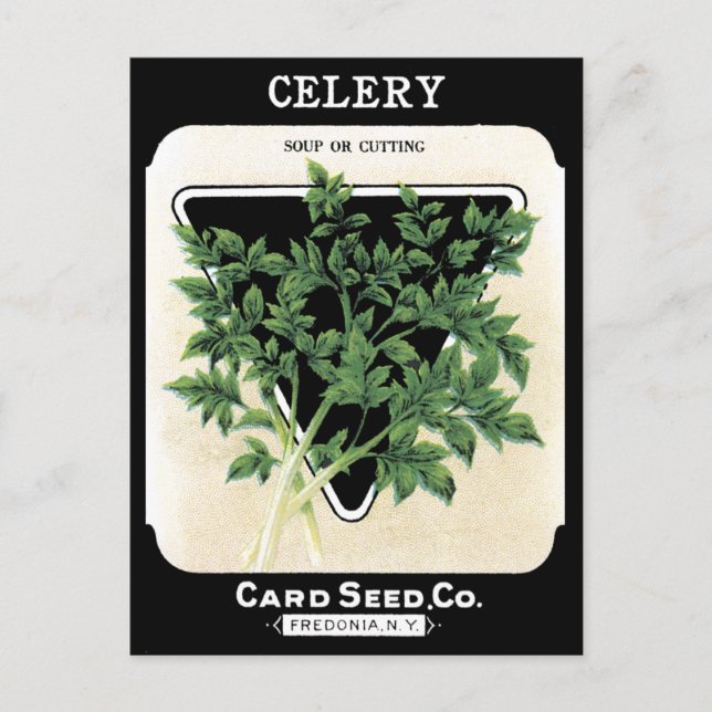 Celery Seed Packet Green Black Vegetable Garden Postcard (Front)