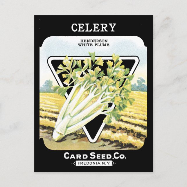 Celery Seed Packet Vintage Vegetable Fredonia NY Postcard (Front)