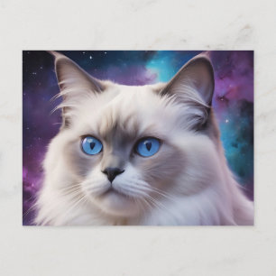 Celestial Birman Cat Portrait Postcard