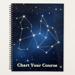 Celestial Constellation Map   Silver Foil Star Cha Planner