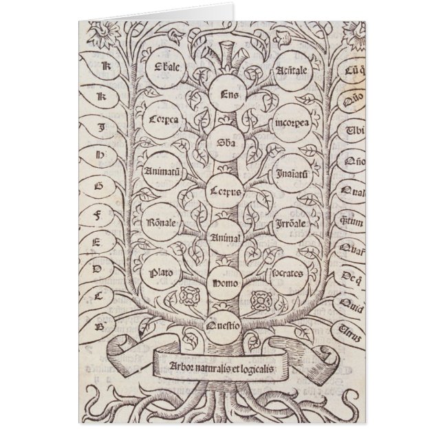 Celestial ladder (Front)