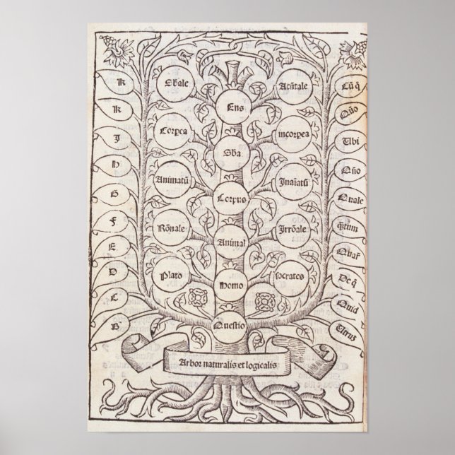 Celestial ladder poster (Front)