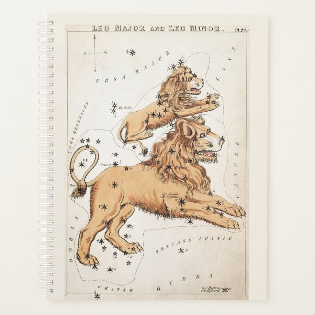 Celestial Leo Zodiac  Planner (Front)