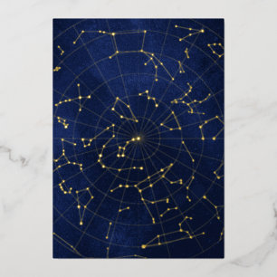 Celestial Night Sky Foil Invitation - Back Card