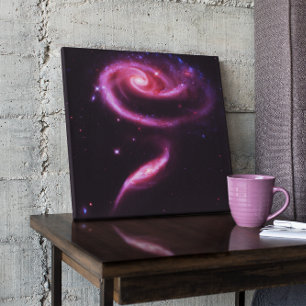 Celestial Pink Rose Galaxies Canvas Print