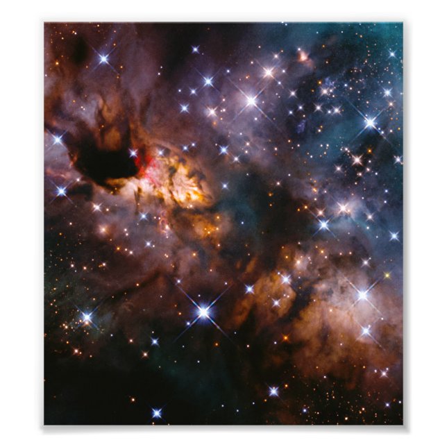 Celestial Prawn Drifting Through the Cosmic Deep Photo Print (Front)
