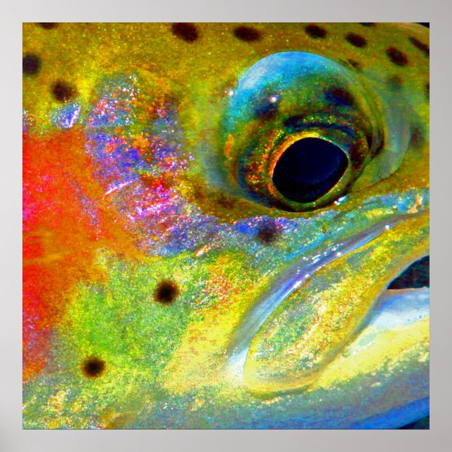 "Celestial Rainbow" Poster (Front)