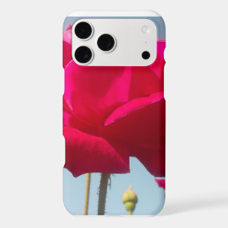 Celestial Rose | Beautiful Red Bloom Against Blue 