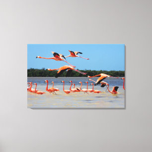 Celestun Biosphere Reserve Canvas Print
