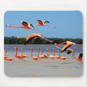 Celestun Biosphere Reserve Mouse Mat