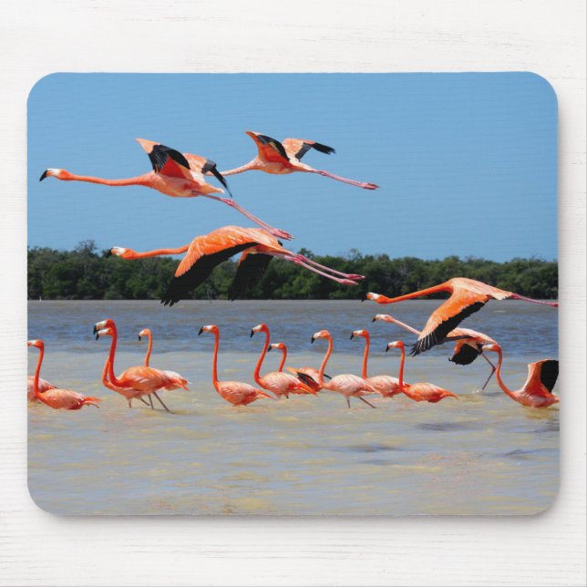 Celestun Biosphere Reserve Mouse Mat (Front)