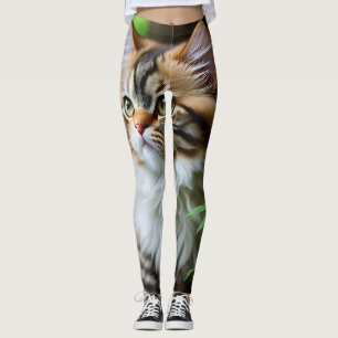 Celia The Cubby Persian Cat, Leggings