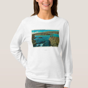 Celilo Falls on the Columbia River T-Shirt