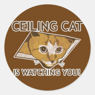 Celing cat is watching you! classic round sticker