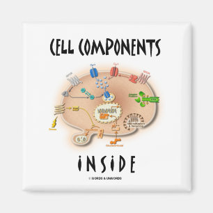 Cell Components Inside Magnet