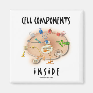 Cell Components Inside Magnet