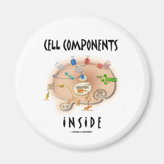 Cell Components Inside Magnet