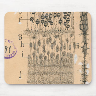 Cell Drawing Eye Retina Santiago Ramon Y Cajal Mouse Mat