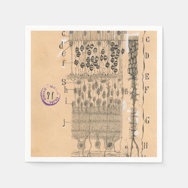 Cell Drawing Eye Retina Santiago Ramon Y Cajal Napkin (Front)